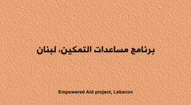 Empowered Aid Animated Video of the Phase 2 Pilot Findings to Mitigate SEA in Lebanon