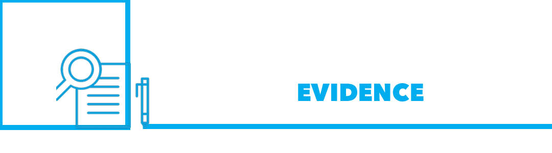 Evidence icon